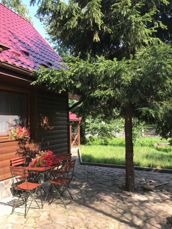 Troyanda Karpat Hotel Karpaty Esterno foto
